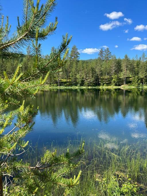 Tretoppen - Ny Moderne Hytte, Unike Finnskogen Torsby Εξωτερικό φωτογραφία
