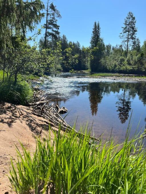 Tretoppen - Ny Moderne Hytte, Unike Finnskogen Torsby Εξωτερικό φωτογραφία