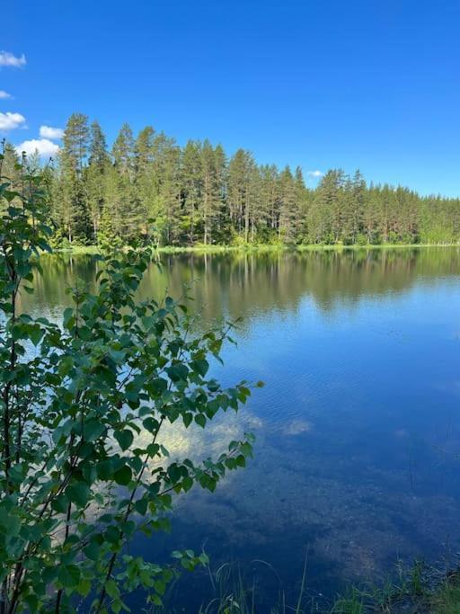 Tretoppen - Ny Moderne Hytte, Unike Finnskogen Torsby Εξωτερικό φωτογραφία